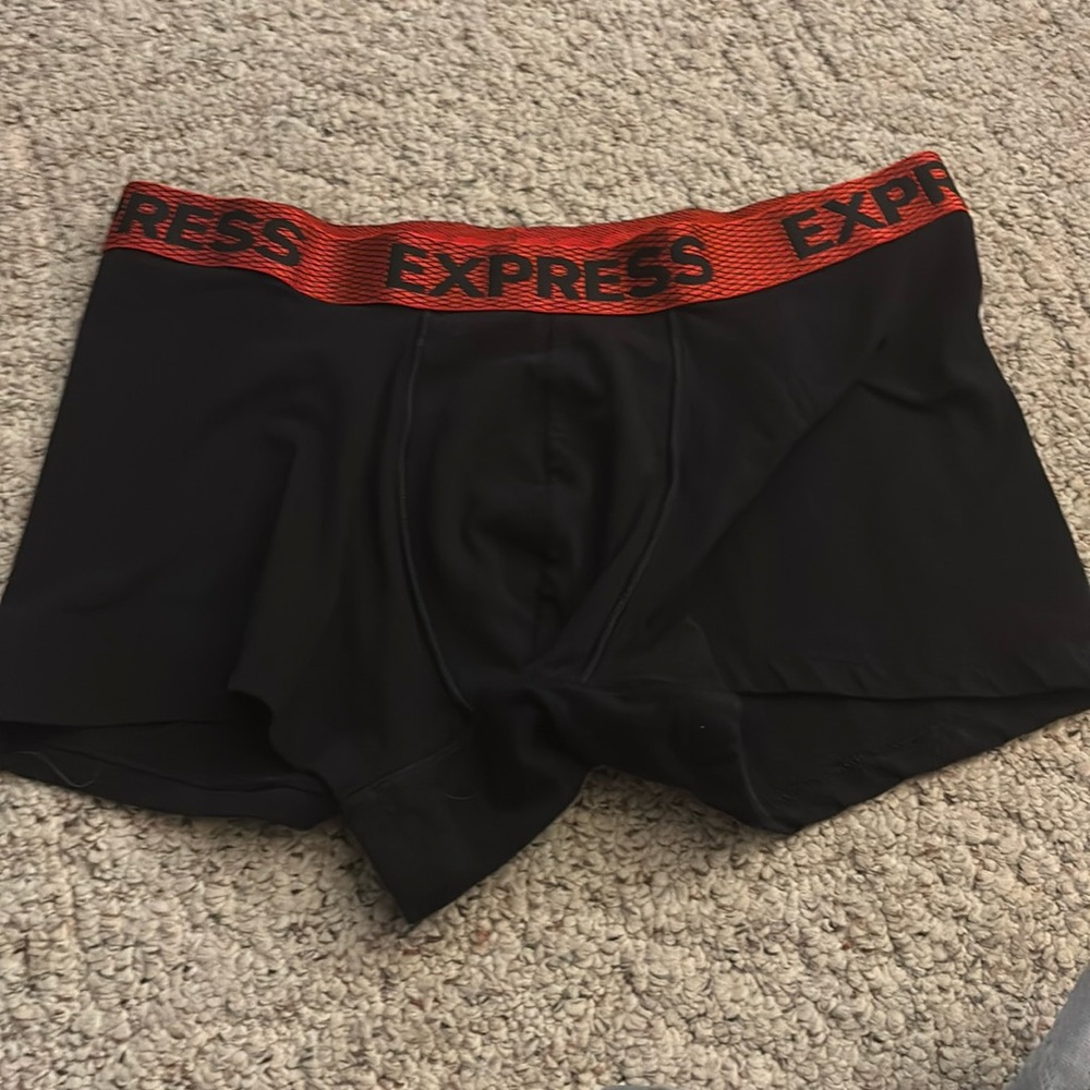 Express trunks size large